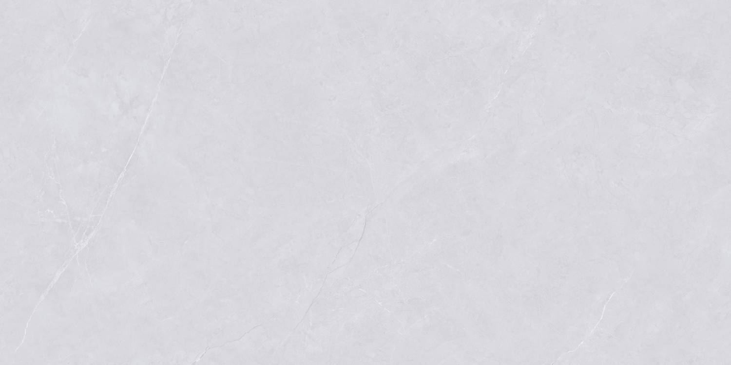 Керамогранит "Wan Sheng" Glazed (1200*600 мм) Серый D12620 — купить в Екатеринбурге